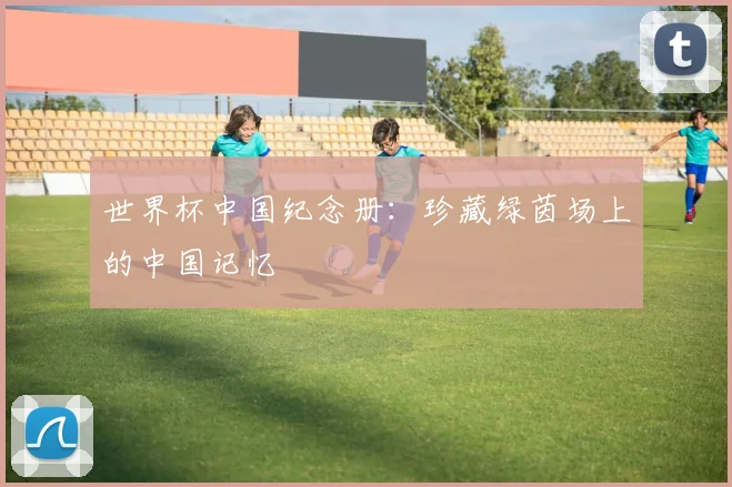 世界杯中国纪念册：珍藏绿茵场上的中国记忆