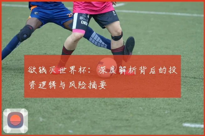 欲钱买世界杯：深度解析背后的投资逻辑与风险摘要