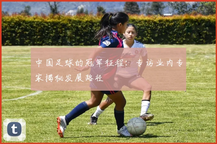 中国足球的冠军征程:专访业内专家揭秘发展路径
