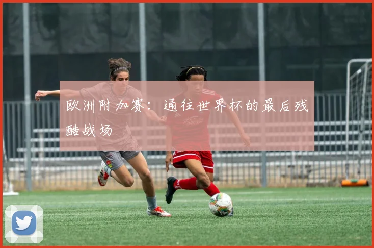 欧洲附加赛：通往世界杯的最后残酷战场