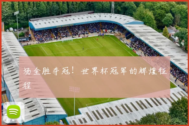 场全胜夺冠!世界杯冠军的辉煌征程