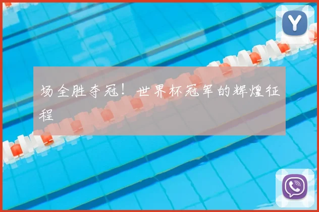 场全胜夺冠!世界杯冠军的辉煌征程